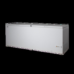 ΚΑΤΑΨΥΚΤΗΣ 2 ΠΟΡΤΕΣ ΑΝΟΙΓΟΜΕΝΕΣ 600L CL 600 DSL 1